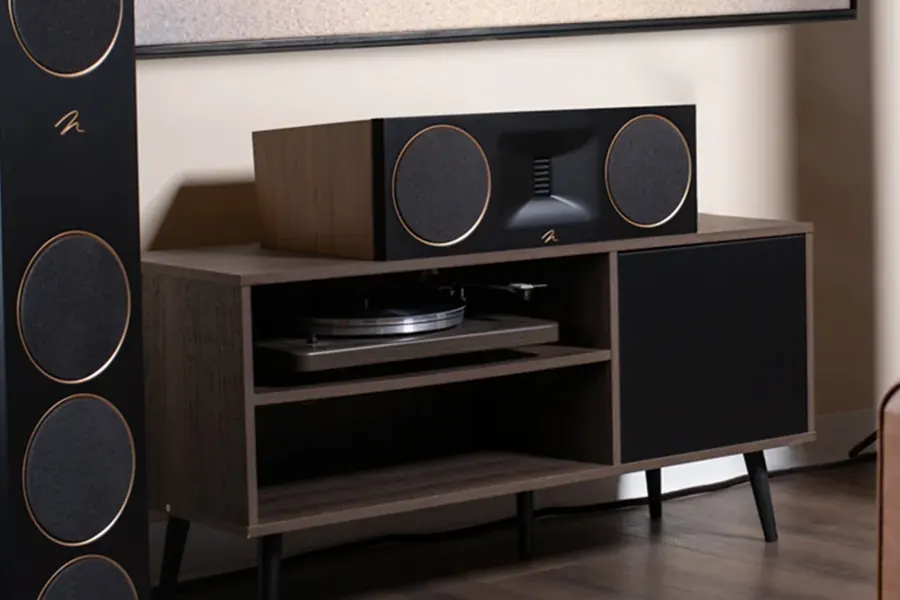 MartinLogan Motion XT C100